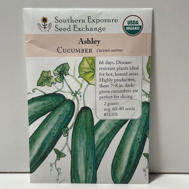 Ashley Cucumber Seeds, Organic